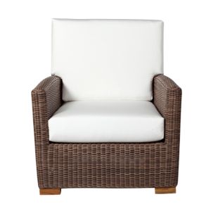 FAVPNG_club-chair-eames-lounge-chair-recliner-chaise-longue-garden-furniture_a5v5nsmK.jpg